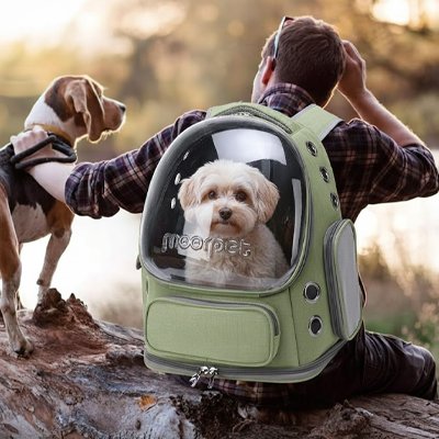 Sac transport Chien vert porté sur dos avec grand chien avec harné