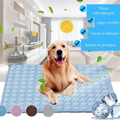 Tapis rafraichissant chien/refreschCarpet ™