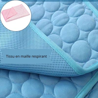 Tapis rafraichissant chien/refreschCarpet ™