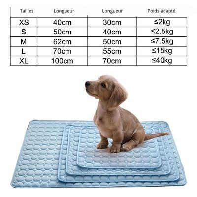 Tapis rafraichissant chien/refreschCarpet ™