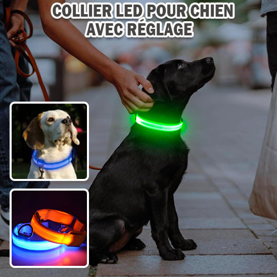 Collier chien lumineux /SafetyBand™